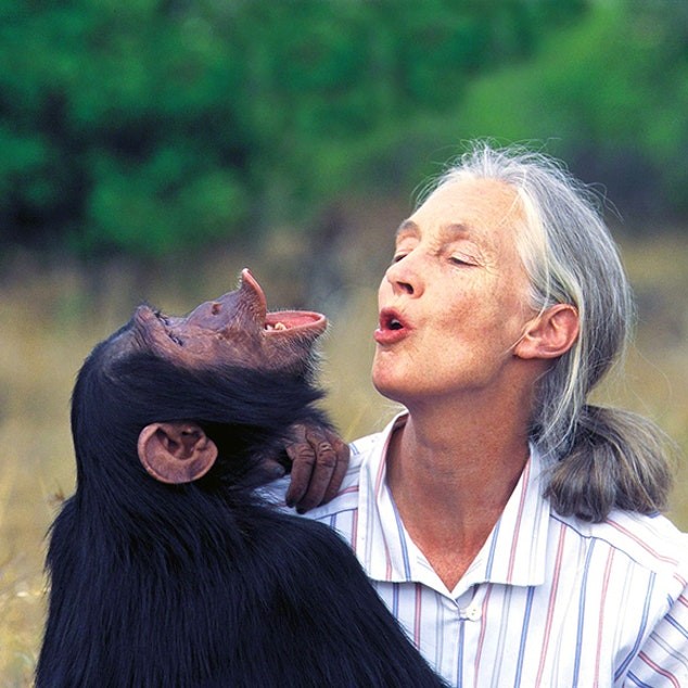 Jane Goodall holding an ape